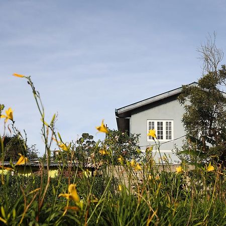Pedro View Homestay Nuwara Eliya Exterior foto