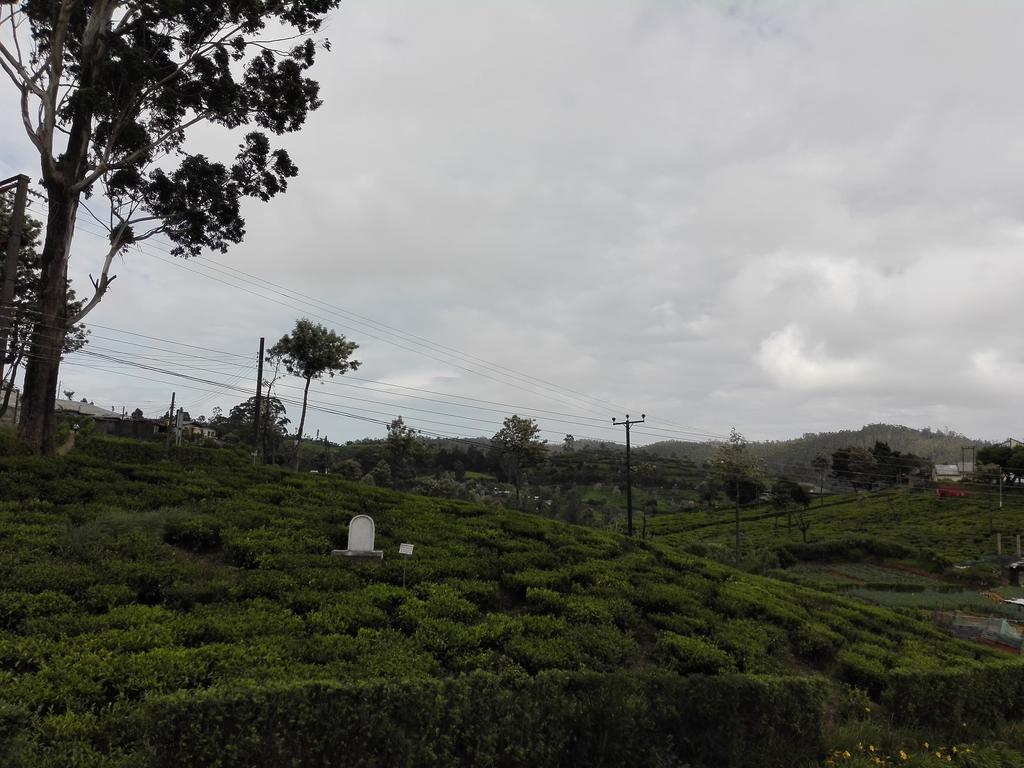 Pedro View Homestay Nuwara Eliya Exterior foto