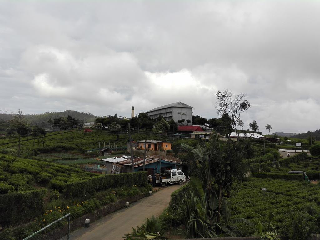 Pedro View Homestay Nuwara Eliya Exterior foto