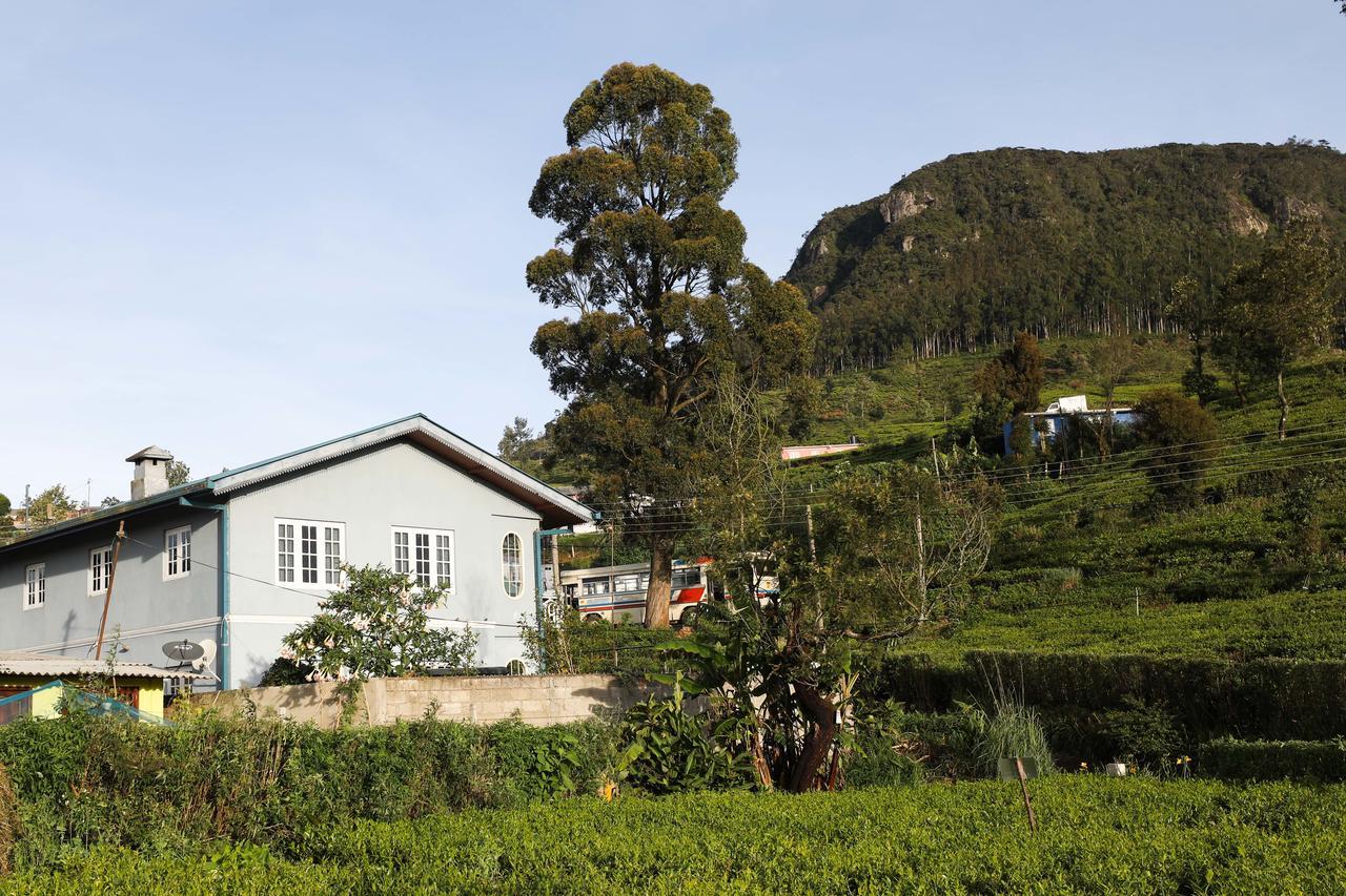 Pedro View Homestay Nuwara Eliya Exterior foto