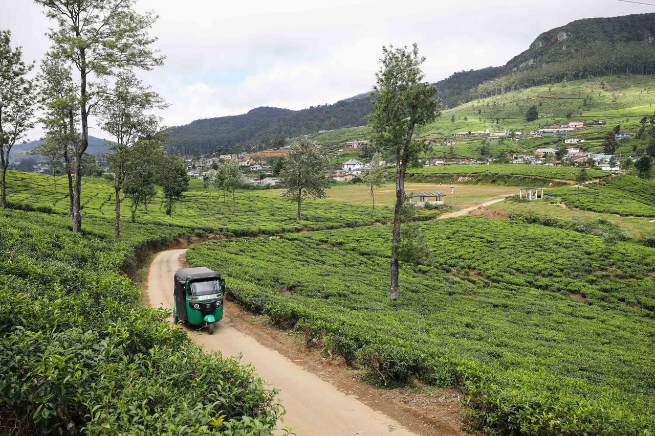 Pedro View Homestay Nuwara Eliya Exterior foto